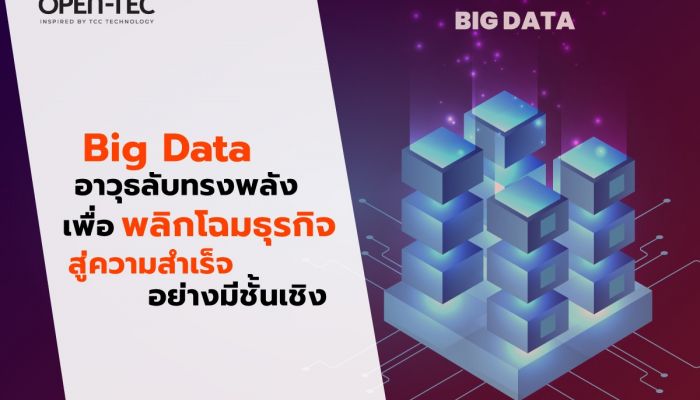 “Big Data” อาวุธลับทรงพลังเพื่อพลิกโฉมธุรกิจสู่ ความสำเร็จอย่างมีชั้นเชิง