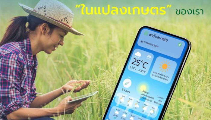 ดีป้า หนุน ซีพีเอส เวเธอร์ ผุดแอปพลิเคชัน “ฟ้าฝน” ช่วยเกษตรกรกว่า 10 ล้านคน วางแผนรับมือภัยธรรมชาติ