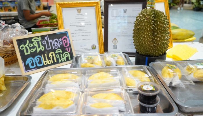 บลูพอร์ต หัวหิน ชวนมาช็อปสินค้าเกษตรอินทรีย์ ผัก ผลไม้ปลอดสารเคมี ในวันที่ 16-18 ม.ย นี้ ที่ลานอีเว้นท์พอร์ต ชั้น G บลูพอร์ต หัวหิน
