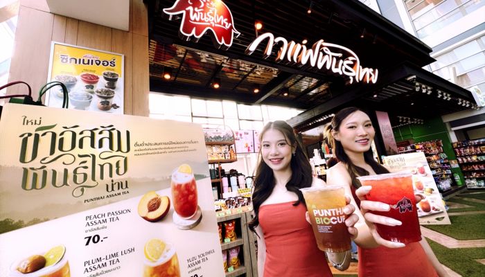 พันธุ์ไทย เปิดตัว 'ชาอัสสัมพันธุ์ไทย' เสิร์ฟความพรีเมียมด้วยชาแห่งสายหมอกจากขุนเขาน่าน
