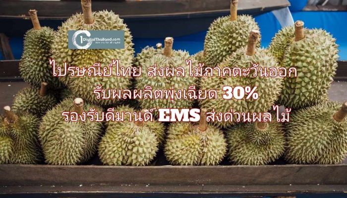 ไปรษณีย์ไทย ส่งผลไม้ภาคตะวันออกรับผลผลิตพุ่งเฉียด 30% พร้อมรองรับดีมานด์ EMS ส่งด่วนผลไม้ สดจากสวนถึงมือปชช.ทั่วประเทศ