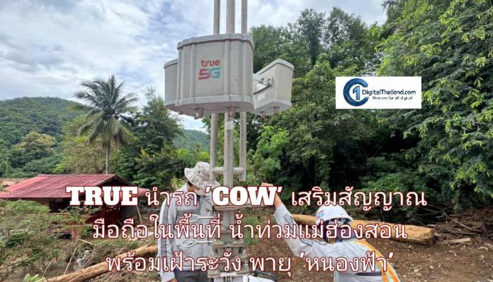 TRUE นำรถ 'COW' เสริมสัญญาณมือถือในพื้นที่น้ำท่วมแม่ฮ่องสอน พร้อมเฝ้าระวังพายุ 'หนองฟ้า' ถล่มซ้ำหลายจังหวัด