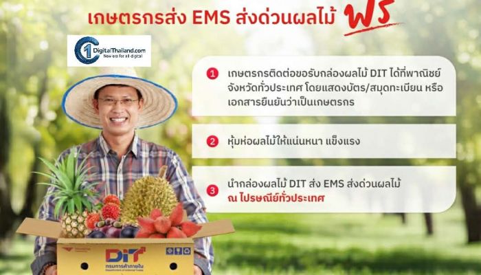 ไปรษณีย์ไทย เร่งเครื่อง EMS หนุนเกษตรกรทั่วไทย ส่งด่วนผลไม้–ผลผลิตสดใหม่ ถึงผู้บริโภค พร้อมเผย TOP 3 จังหวัดของแต่ละภาคใช้บริการสูงสุด