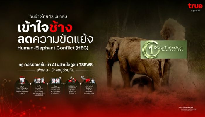 ​'วันช้างไทย' TRUE ส่ง AI ผสานโซลูชัน TSEWS เฝ้าระวังช้างป่า ลดความขัดแย้งคนกับช้าง