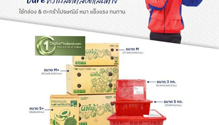 ไปรษณีย์ไทยชี้ 'ทุเรียน' ครองแชมป์หมวดขนส่งผลไม้ ดัน 'EMS ส่งด่วนผลไม้' ช่วยเกษตรกร ลดค่าส่งสูงสุด 20%