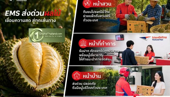 ไปรษณีย์ไทย หนุน 'หน้าทุเรียน' และผลไม้ฤดูร้อน พร้อมเดินหน้าใช้ EMS ส่งด่วนผลไม้ ระบายผลผลิตทั่วประเทศ