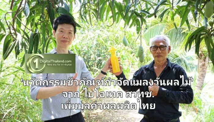 'นวัตกรรมชีวภัณฑ์กำจัดแมลงวันผลไม้' จาก ไบโอเทค สวทช. ทางเลือกใหม่ช่วยลดสารเคมีและเพิ่มมูลค่าผลผลิตไทย