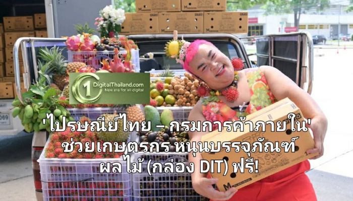 'ไปรษณีย์ไทย – กรมการค้าภายใน' ช่วยเกษตรกรหนุนบรรจุภัณฑ์ผลไม้ (กล่อง DIT) ฟรี! ค่าส่งทั่วประเทศ 