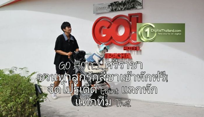 GO HOTEL ศรีราชา ชวนพาลูกรักสี่ขาเข้าพักฟรี! จัดโปรเด็ด Point แลกพัก แท็กทีม The1 ชิมร้านดังที่พาน้องๆ เข้าได้ ย้ำหมุดหมาย Pet-Friendly
