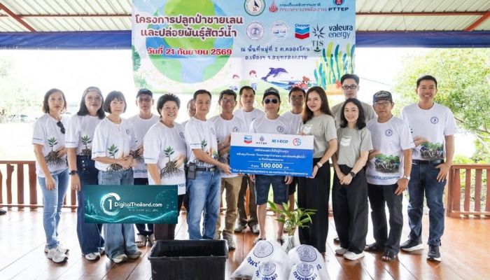 เชฟรอนและบริษัทผู้ร่วมทุน สนับสนุนสมาคมประมงในสมุทรสงคราม จัดโครงการปลูกป่าชายเลนและปล่อยพันธุ์สัตว์น้ำ