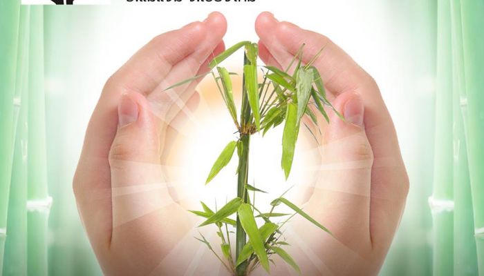 บริจาค  สมทบทุนซื้อต้นกล้าไผ่ ร่วมฟื้นฟูผืนป่า เพื่อการพัฒนาคุณภาพชีวิตที่ยั่งยืน  ผ่านแอปฯ TrueMoney Wallet ได้แล้ววันนี้