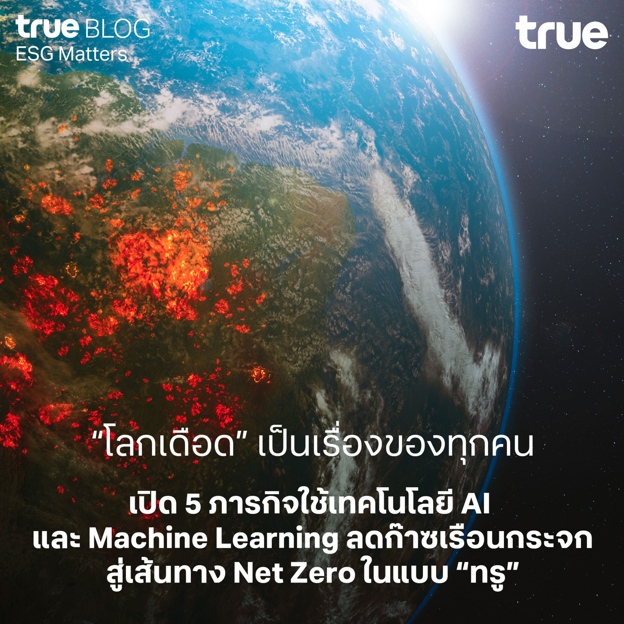 'โลกเดือด' เป็นเรื่องของทุกคน! เปิด 5 ภารกิจใช้เทคโนโลยี AI และ Machine Learning ลดก๊าซเรือนกระจก สู่เส้นทาง Net Zero ในแบบ 'ทรู'