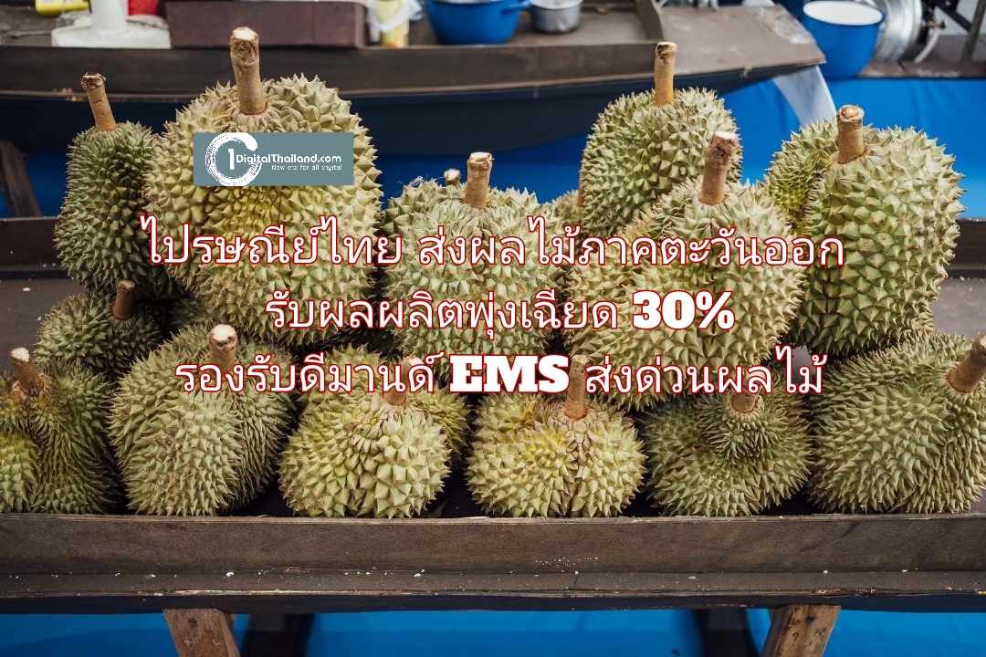 ไปรษณีย์ไทย ส่งผลไม้ภาคตะวันออกรับผลผลิตพุ่งเฉียด 30% พร้อมรองรับดีมานด์ EMS ส่งด่วนผลไม้ สดจากสวนถึงมือปชช.ทั่วประเทศ