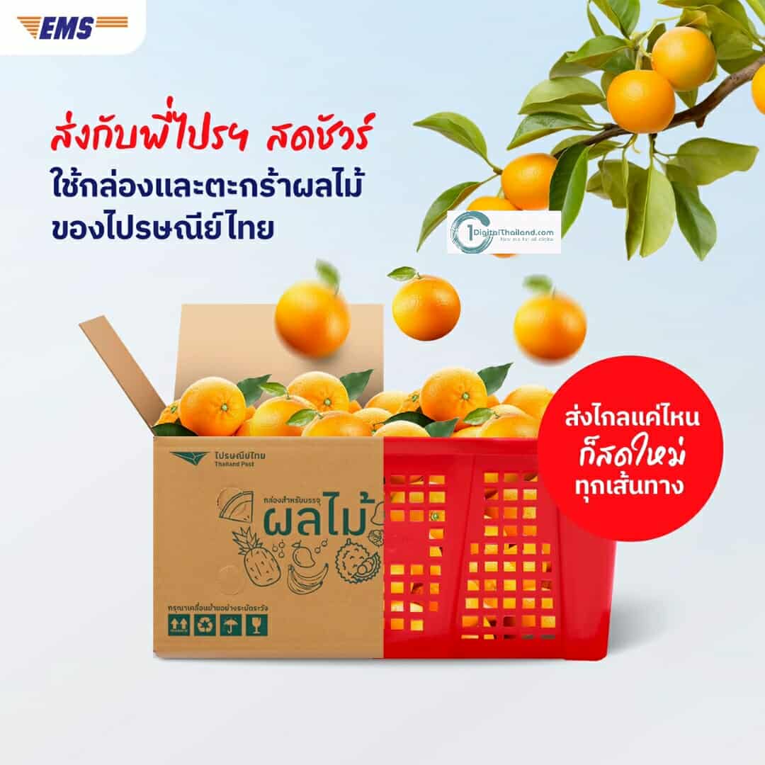 ไปรษณีย์ไทย ชูบริการ EMS ส่งด่วนผลไม้ เปิด 4 ทริคแพ็กคงความสดใหม่ตลอดเส้นทาง พร้อมเรียกใช้บริการ Pick Up Service ฟรี! ผ่านทางไลน์ @Thailandpost