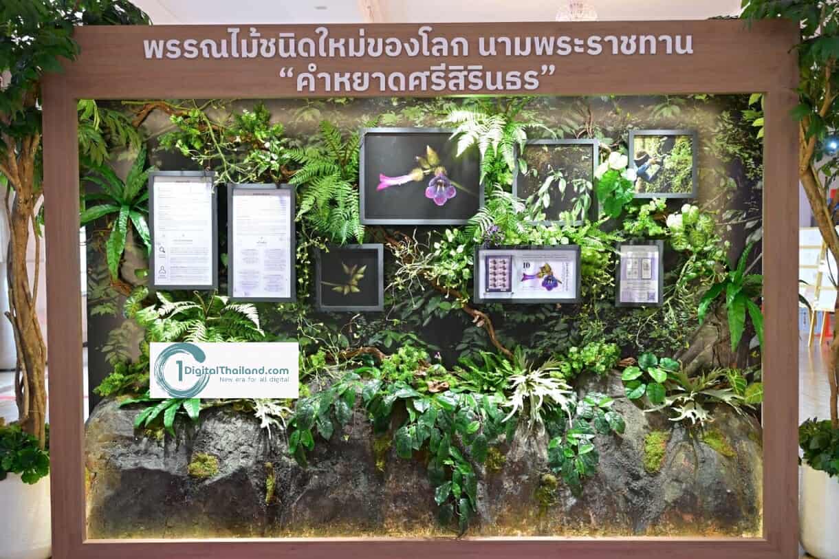 ชมแสตมป์หายากทั่วเอเชีย 'From Bangkok to Beijing'ถ่ายทอดล้านเรื่องราวบนศิลปะจิ๋วแห่งวัฒนธรรม ดอกไม้ สัตว์ และสถาปัตย์ ที่ 'ไปรษณีย์กลาง บางรัก' วันนี้ – 12 ส.ค 2568