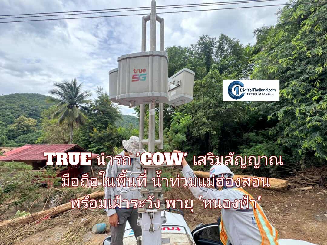 TRUE นำรถ 'COW' เสริมสัญญาณมือถือในพื้นที่น้ำท่วมแม่ฮ่องสอน พร้อมเฝ้าระวังพายุ 'หนองฟ้า' ถล่มซ้ำหลายจังหวัด