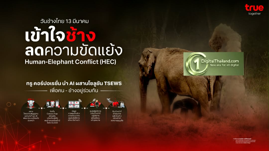 ​'วันช้างไทย' TRUE ส่ง AI ผสานโซลูชัน TSEWS เฝ้าระวังช้างป่า ลดความขัดแย้งคนกับช้าง