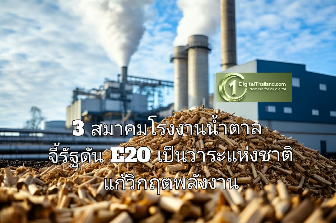 3 สมาคมโรงงานน้ำตาล จี้รัฐดัน E20 เป็นวาระแห่งชาติ แก้วิกฤตพลังงาน-หนุนเศรษฐกิจ Net Zero
