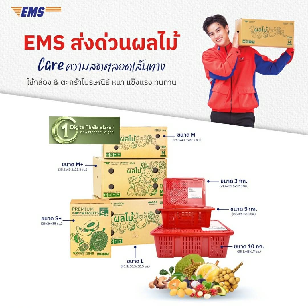ไปรษณีย์ไทยชี้ 'ทุเรียน' ครองแชมป์หมวดขนส่งผลไม้ ดัน 'EMS ส่งด่วนผลไม้' ช่วยเกษตรกร ลดค่าส่งสูงสุด 20%