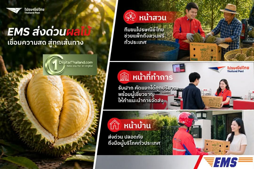 ไปรษณีย์ไทย หนุน 'หน้าทุเรียน' และผลไม้ฤดูร้อน พร้อมเดินหน้าใช้ EMS ส่งด่วนผลไม้ ระบายผลผลิตทั่วประเทศ