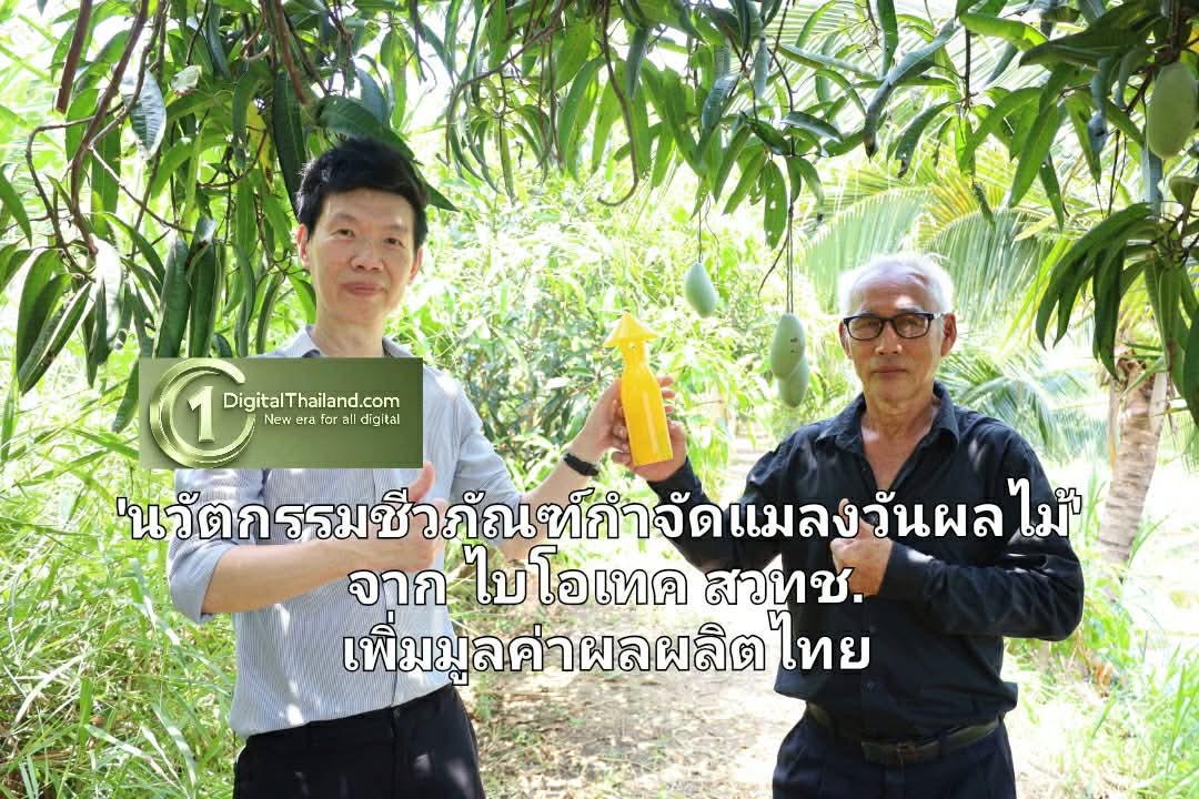 'นวัตกรรมชีวภัณฑ์กำจัดแมลงวันผลไม้' จาก ไบโอเทค สวทช. ทางเลือกใหม่ช่วยลดสารเคมีและเพิ่มมูลค่าผลผลิตไทย