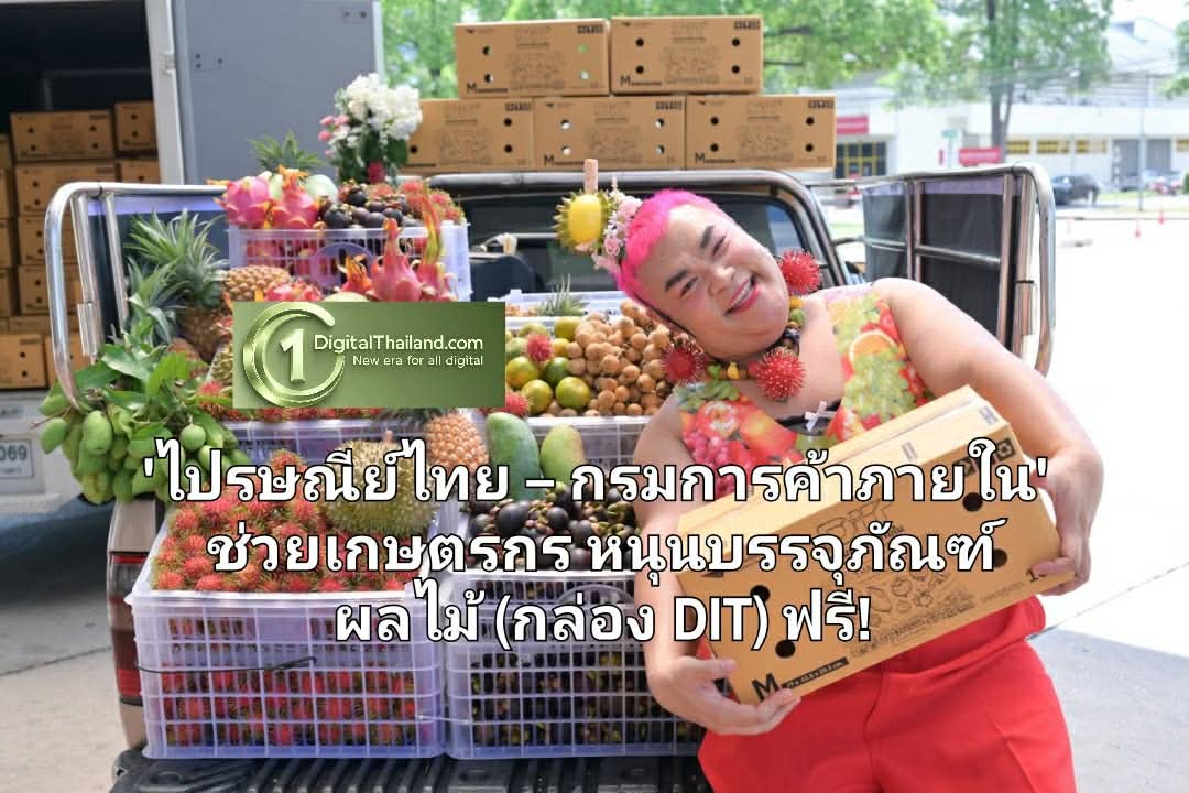 'ไปรษณีย์ไทย – กรมการค้าภายใน' ช่วยเกษตรกรหนุนบรรจุภัณฑ์ผลไม้ (กล่อง DIT) ฟรี! ค่าส่งทั่วประเทศ 