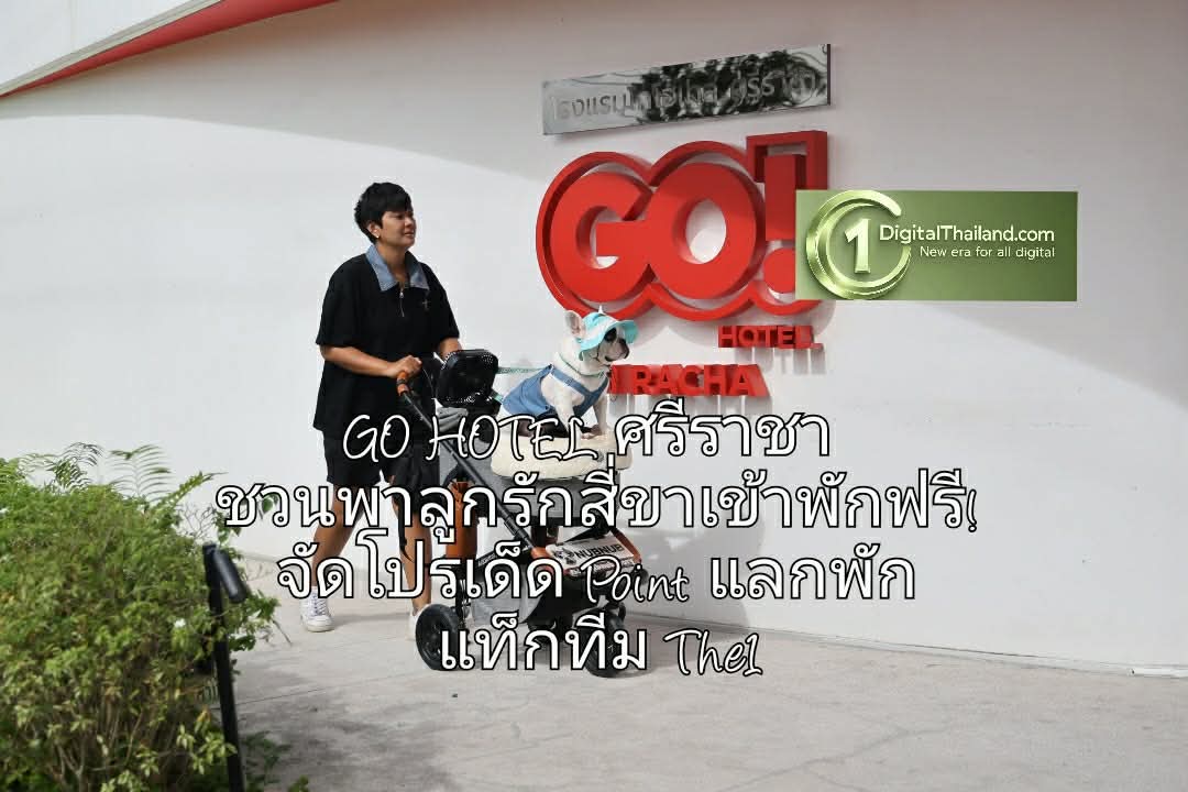 GO HOTEL ศรีราชา ชวนพาลูกรักสี่ขาเข้าพักฟรี! จัดโปรเด็ด Point แลกพัก แท็กทีม The1 ชิมร้านดังที่พาน้องๆ เข้าได้ ย้ำหมุดหมาย Pet-Friendly