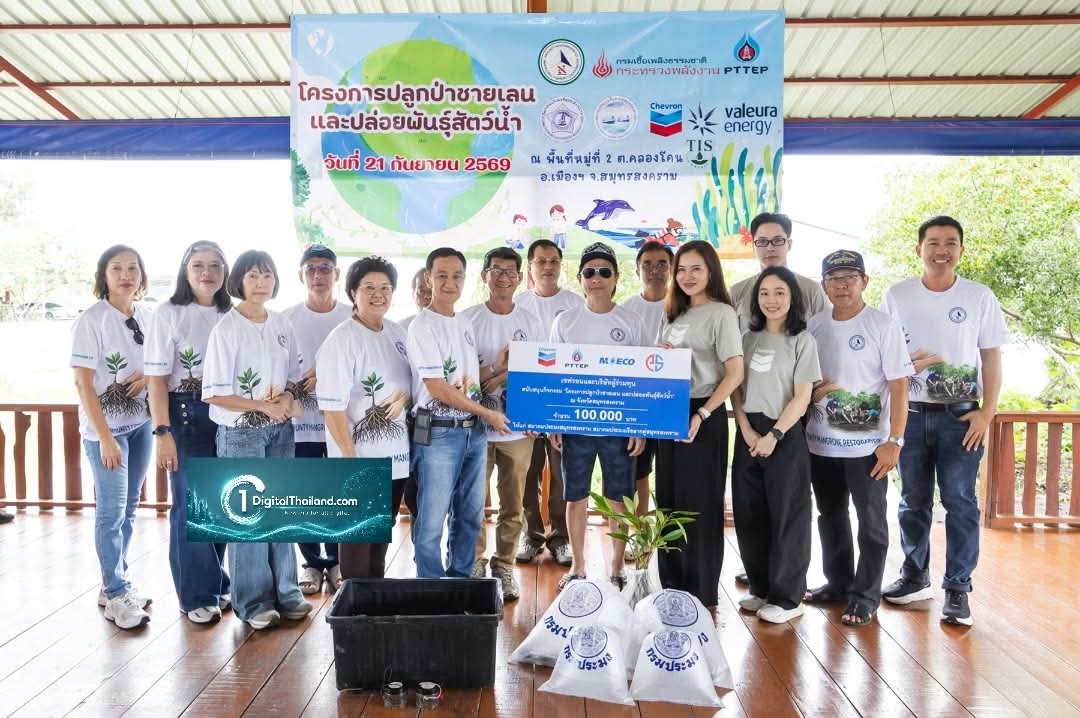 เชฟรอนและบริษัทผู้ร่วมทุน สนับสนุนสมาคมประมงในสมุทรสงคราม จัดโครงการปลูกป่าชายเลนและปล่อยพันธุ์สัตว์น้ำ